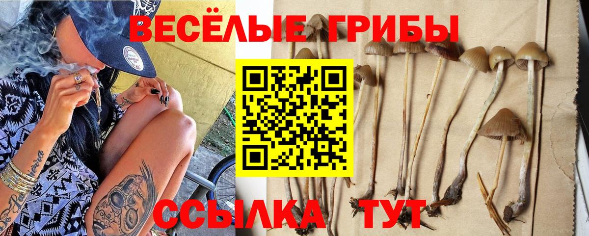 Бугуруслан  Галлюциногенные грибы Psilocybe  купить наркотики сайты  Галлюциногенные грибы Magic Shrooms  Вход с VPN 